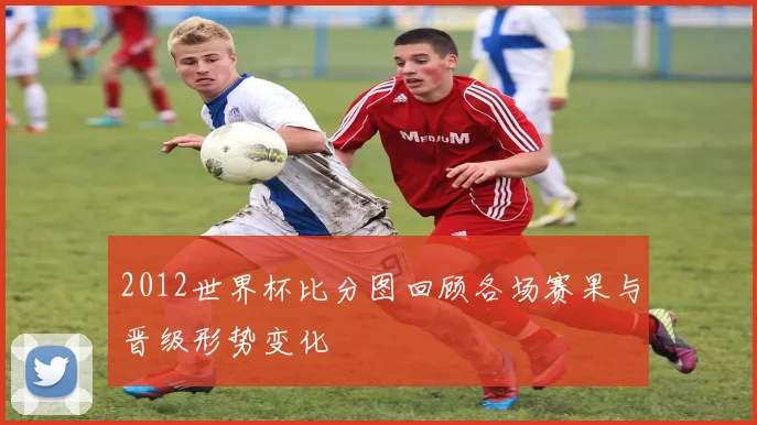 2012世界杯比分图回顾各场赛果与晋级形势变化